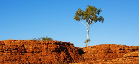 Jetstar announce services to Ayers Rock Airport