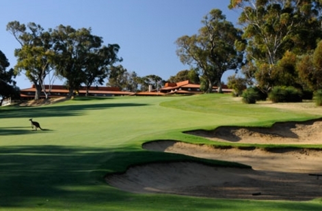 Perth to welcome international golf stars 