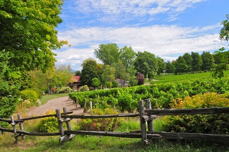 Quebec's Brome-Missisquoi Wine Route