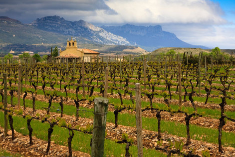 Rioja Wine Festival