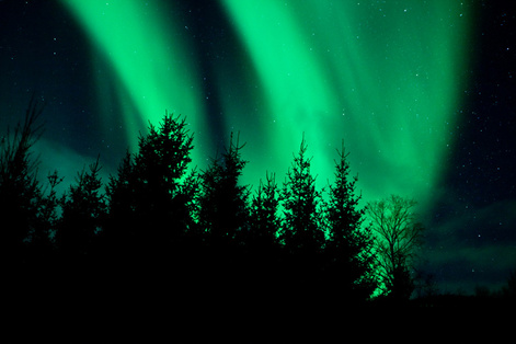 Best Served Scandinavia in the news