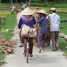 Best of Vietnam