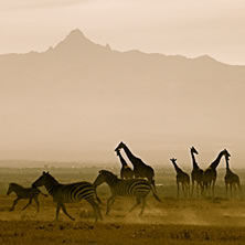 Mount Kenya