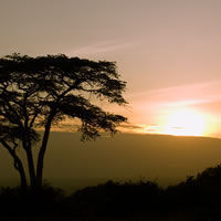 Nairobi