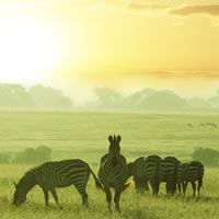 National Parks & Reserves