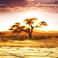 Sossusvlei
