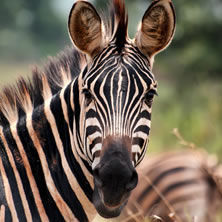 Rwanda National Parks & Reserves
