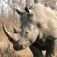 Game Reserves