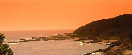 Tsitsikamma National Park
