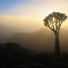 Northern Cape