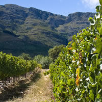 Winelands