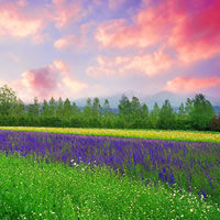 Hokkaido