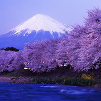Honshu