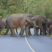 Eastern Thailand