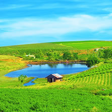 Central Highlands