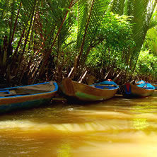Mekong Delta & Southern Coast