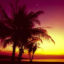 Top End