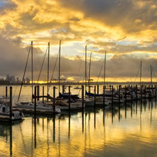 Auckland