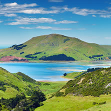 Dunedin & Otago