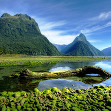 Milford Sound & Fiordland