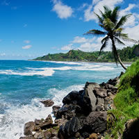 Caribbean