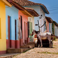 Trinidad
