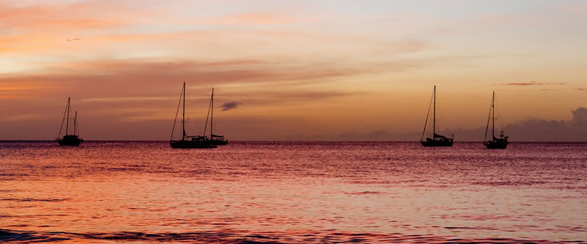 Caribbean offers