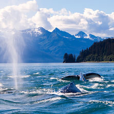 Alaska