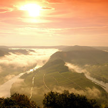 Moselle River Cruises