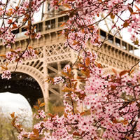 Central France