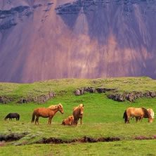 East Iceland