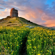 Sardinia & Sicily