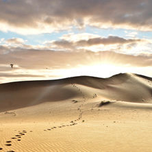 Activity & adventure holidays