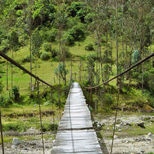 South America