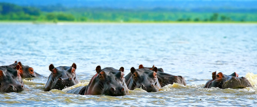 Adventure cruises in Africa