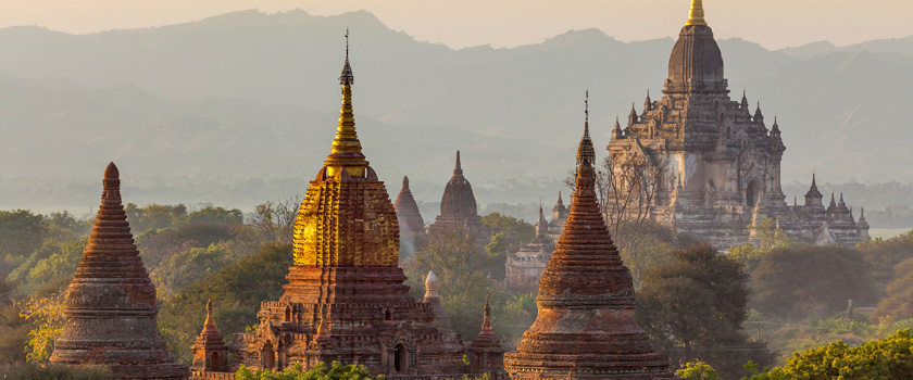 Escorted tours