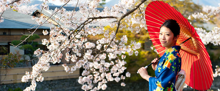 Escorted tours