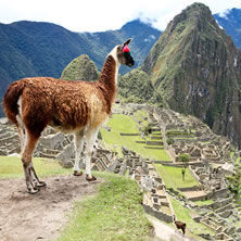 South America