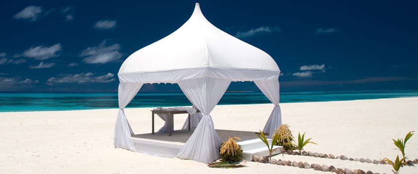 Honeymoons