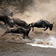 Africa