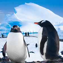 Antarctica