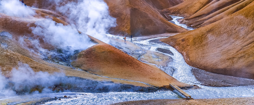 Natural world