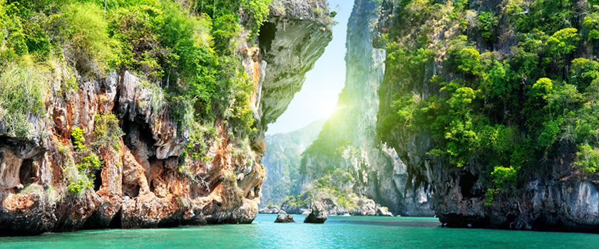 Natural world