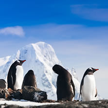 Antarctica