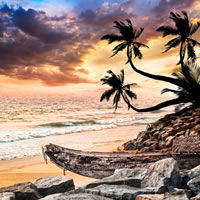 Goa