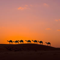 Wahiba Sands