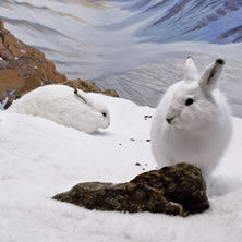 Northwest Territories, Nanavut & Arctic Canada