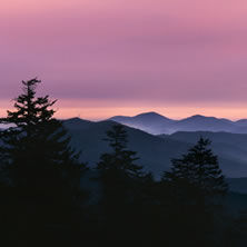 The Carolinas