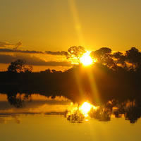 Manaus & The Amazon
