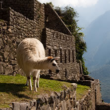 Peru trekking & Inca Trail